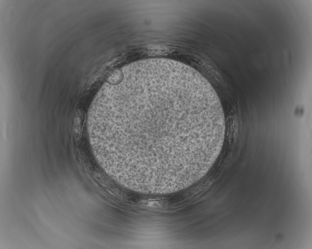 X0000114070655200911161153