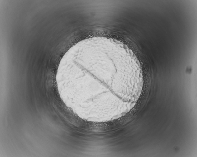 X0000114070659200911161154