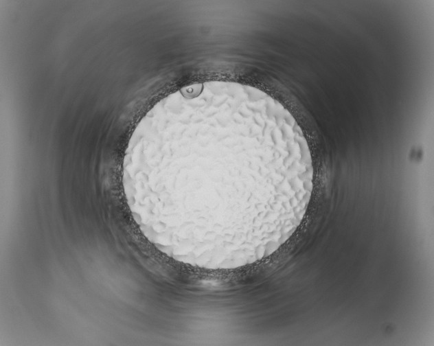 X0000114070663200911161154