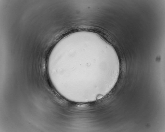 X0000114070668200911161154