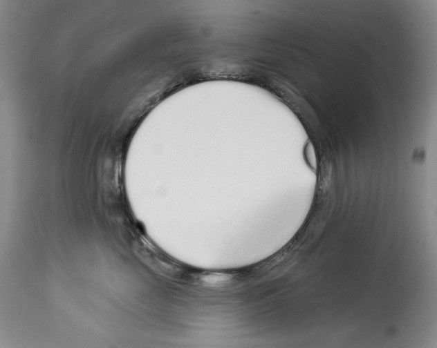 X0000114070669200911161154