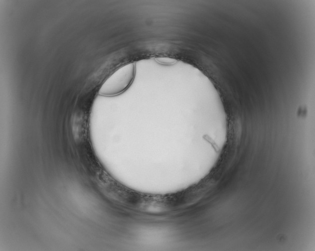 X0000114070671200911161154