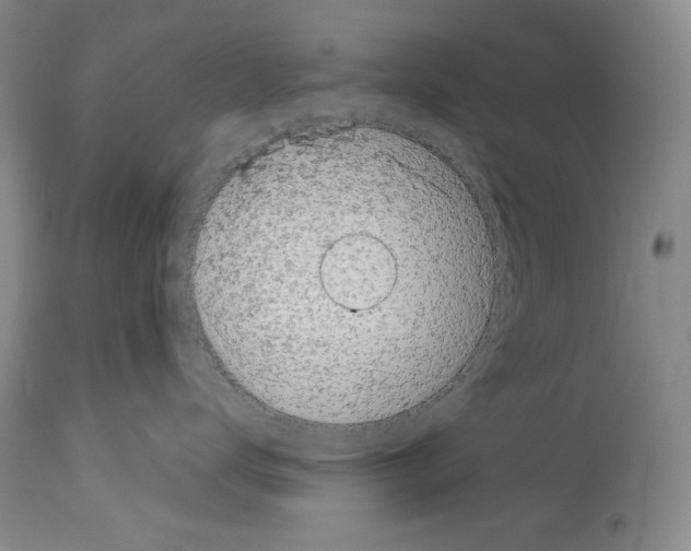 X0000114070672200911161154