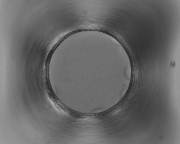 X0000114070674200911161153