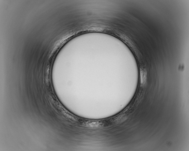 X0000114070675200911161153