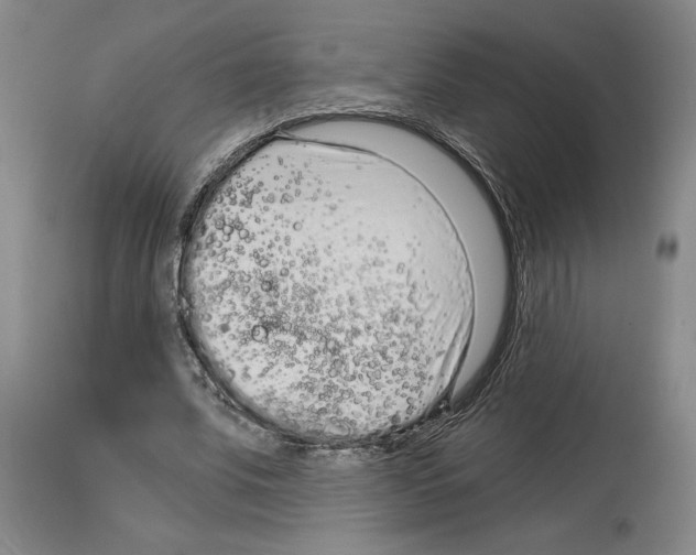 X0000114070679200911161153