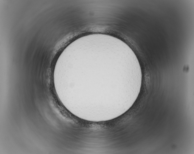 X0000114070682200911161153