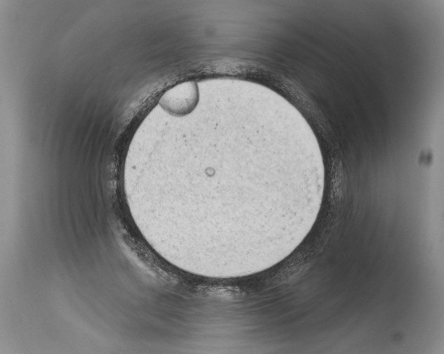 X0000114070683200911161153