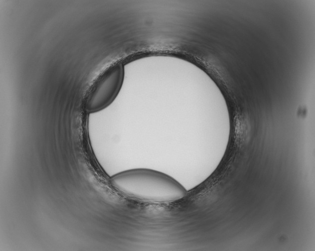 X0000114070684200911161153