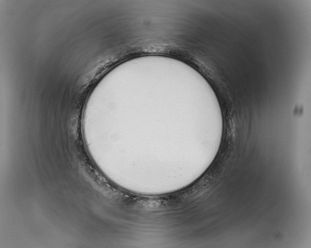 X0000114070687200911161153