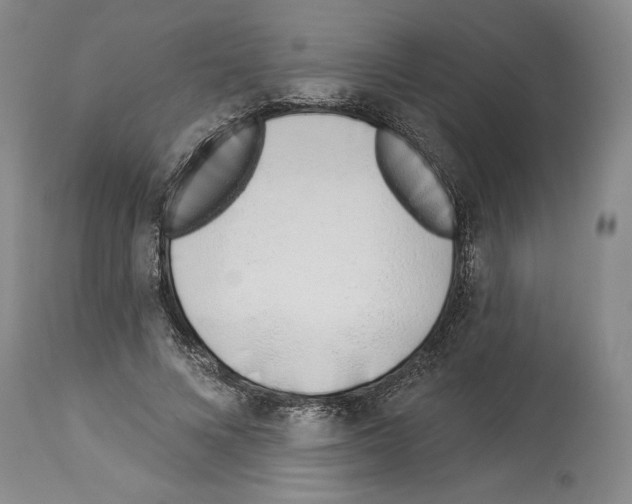 X0000114070688200911161153