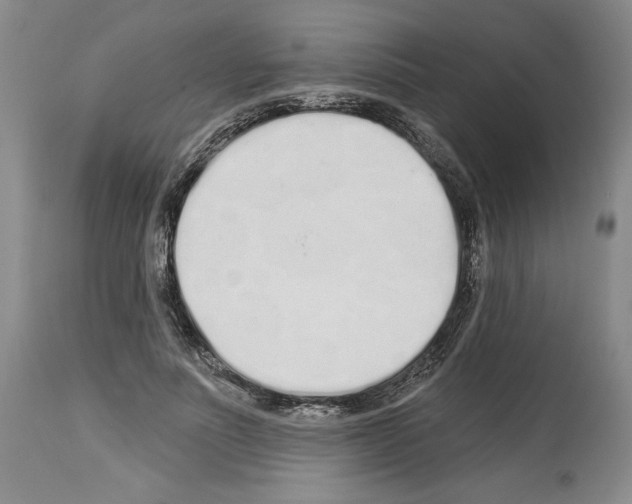 X0000114070691200911161153