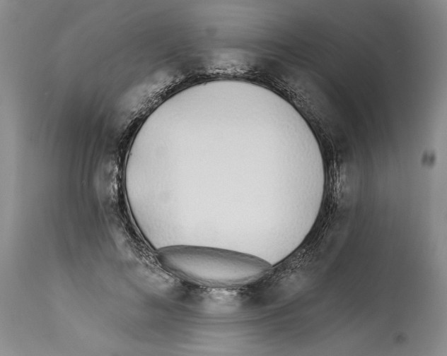 X0000114070692200911161153