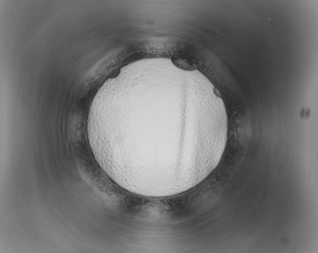 X0000114070696200911161153