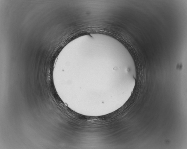 X0000114070700200911161153