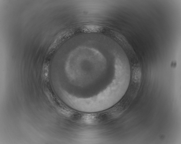 X0000114070701200911161153