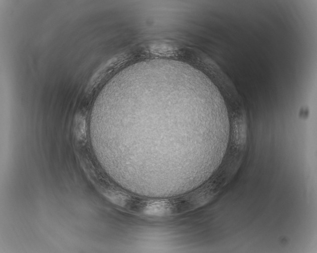 X0000114070705200911161153