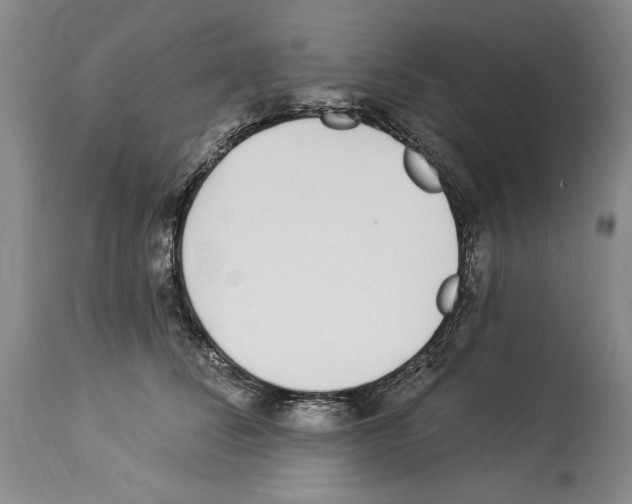 X0000114070708200911161153