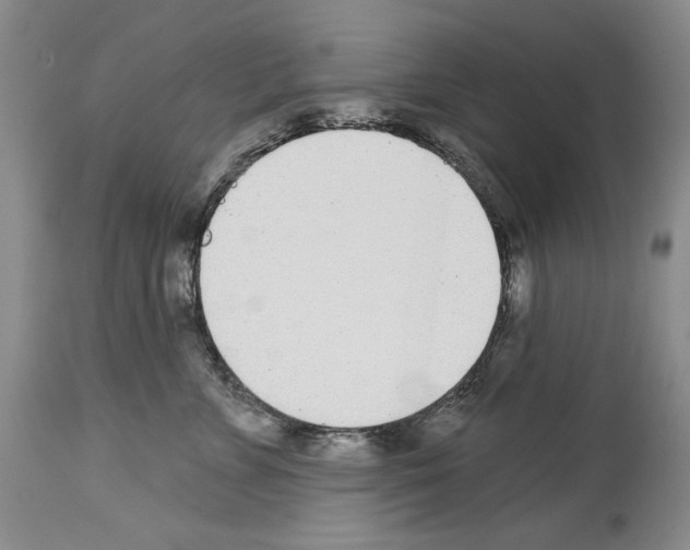 X0000114070715200911161152