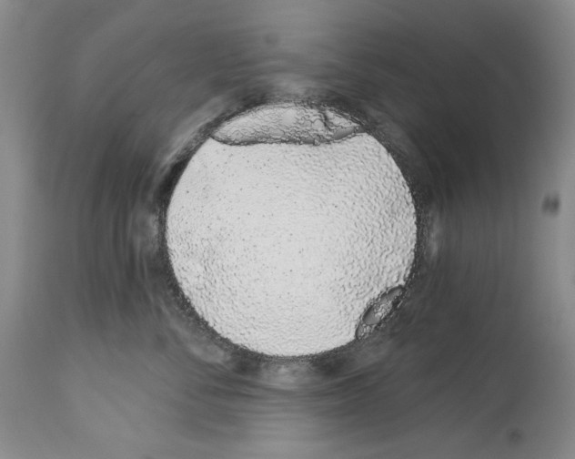 X0000114070716200911161152