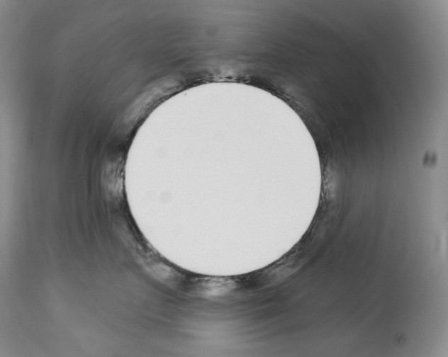 X0000114070719200911161152