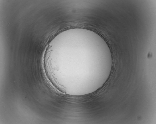 X0000114070720200911161152