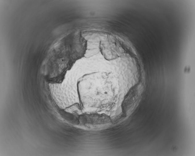 X0000114070721200911161152