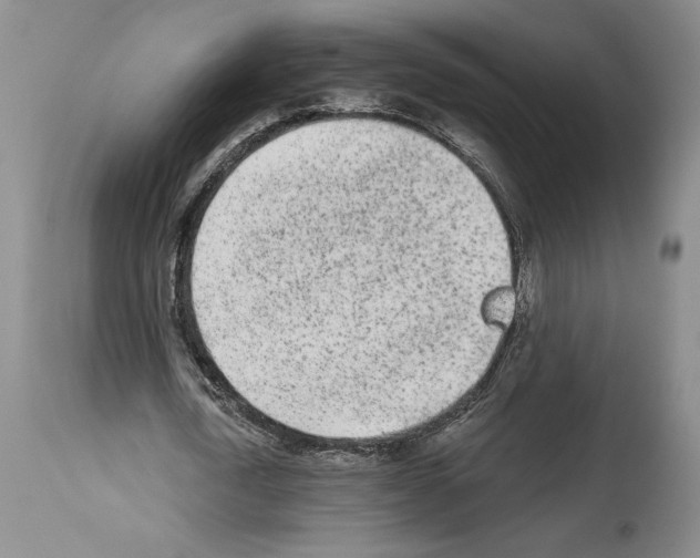 X0000114070722200911161152