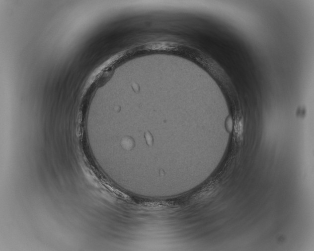 X0000114070724200911161152