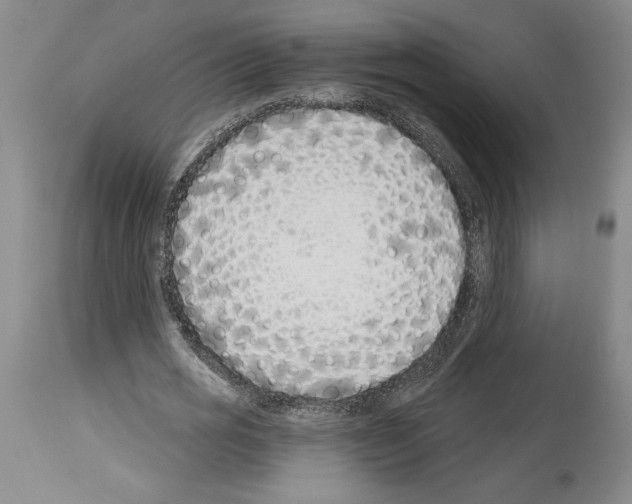 X0000114070725200911161152