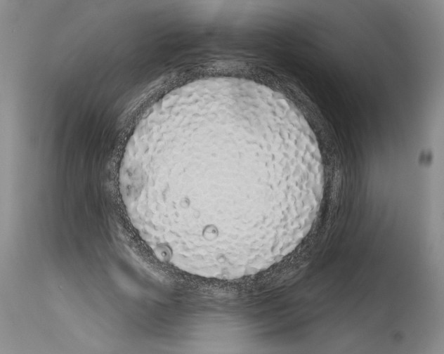 X0000114070729200911161152