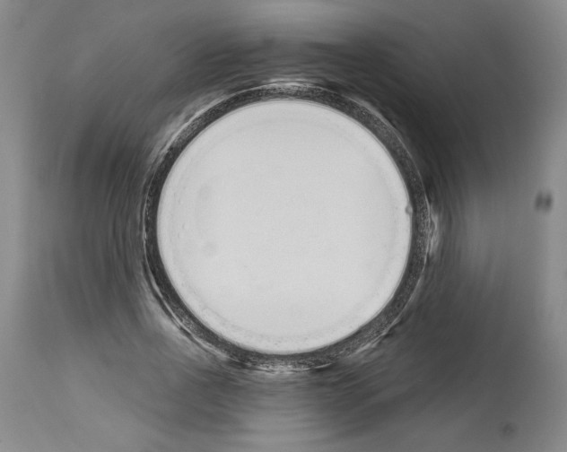 X0000114070734200911161152