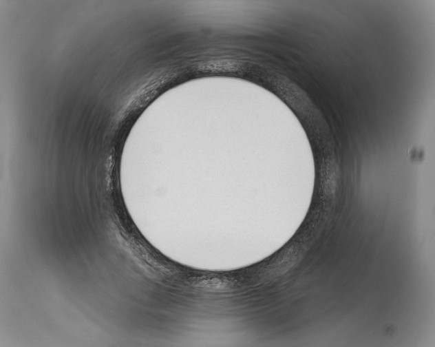 X0000114070735200911161152