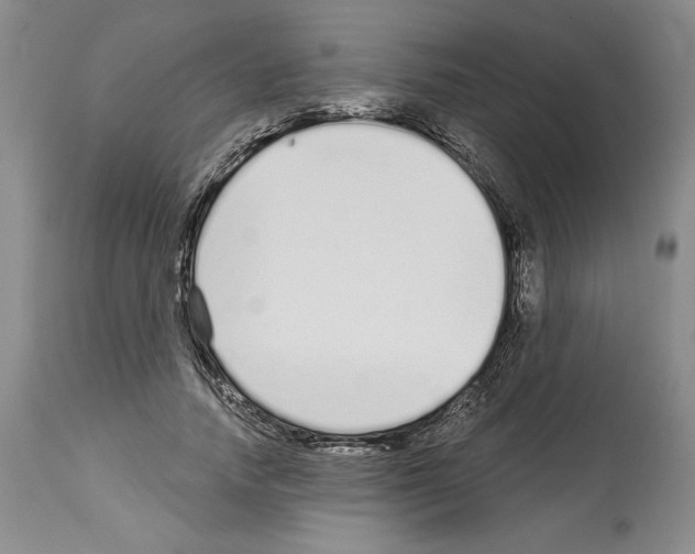 X0000114070738200911161152