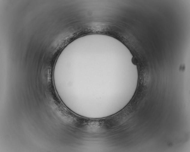 X0000114070740200911161152