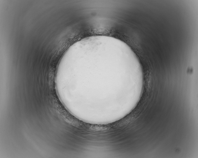 X0000114070745200911161152