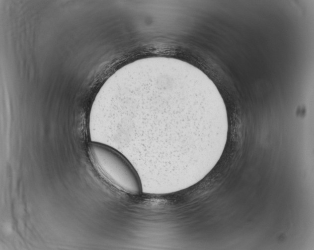 X0000114070748200911161152