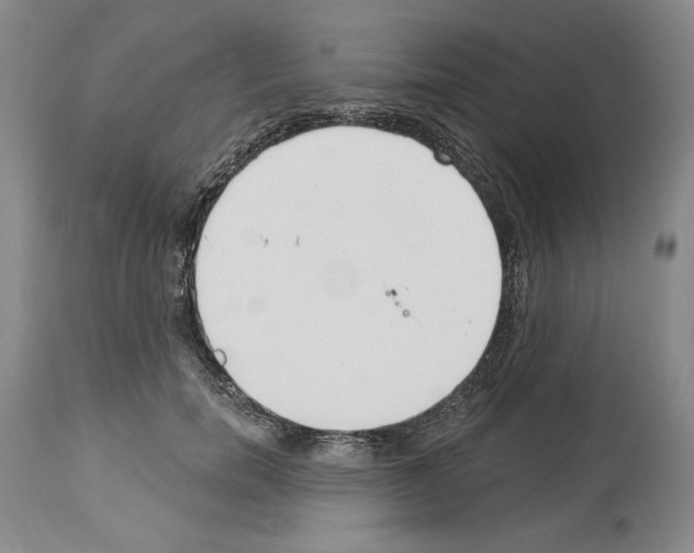 X0000114070750200911161152