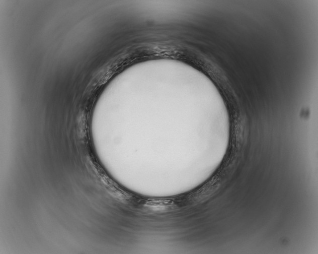 X0000114070757200911161152