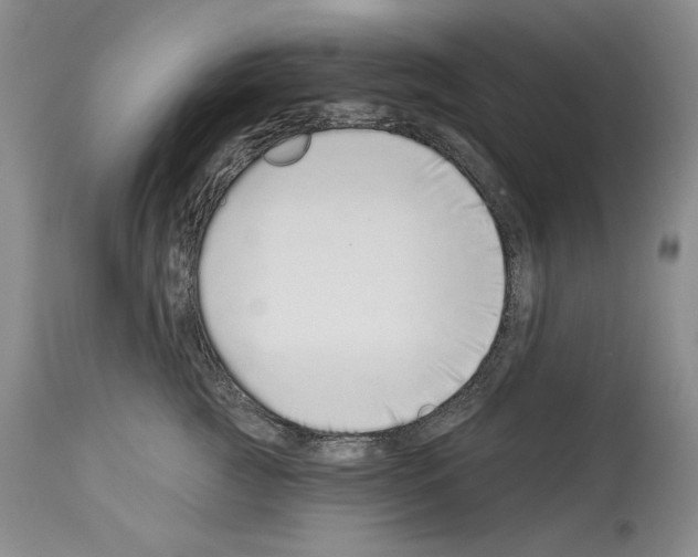 X0000114070761200911161152