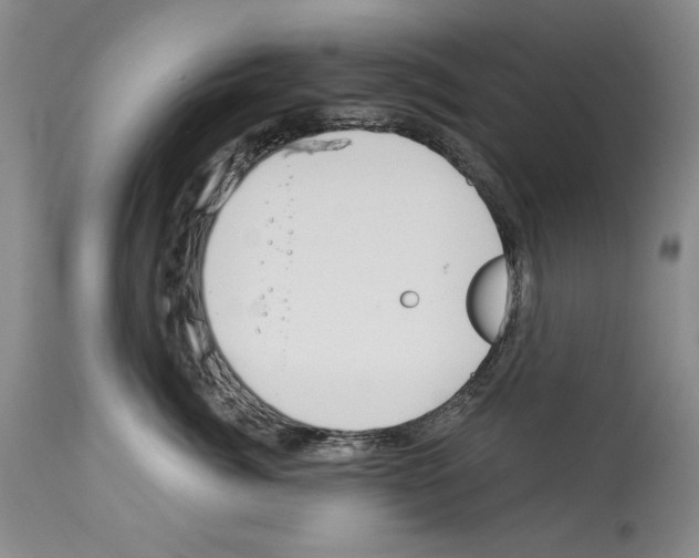 X0000114070764200911161152