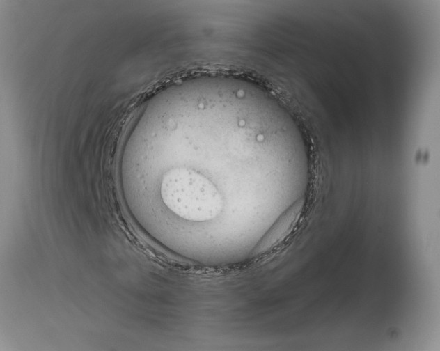 X0000114070769200911161152