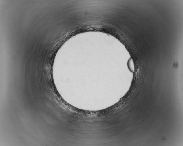 X0000114070772200911161152