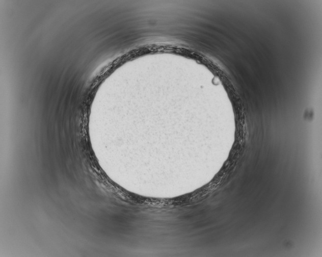 X0000114070775200911161151