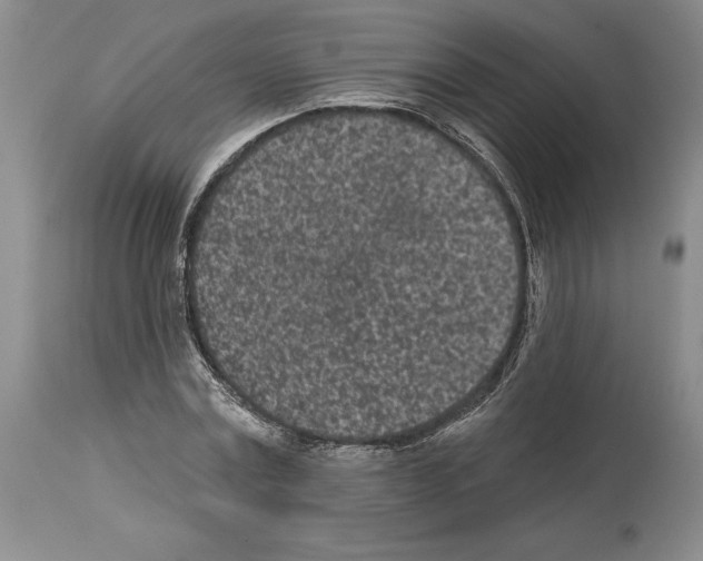 X0000114070779200911161151