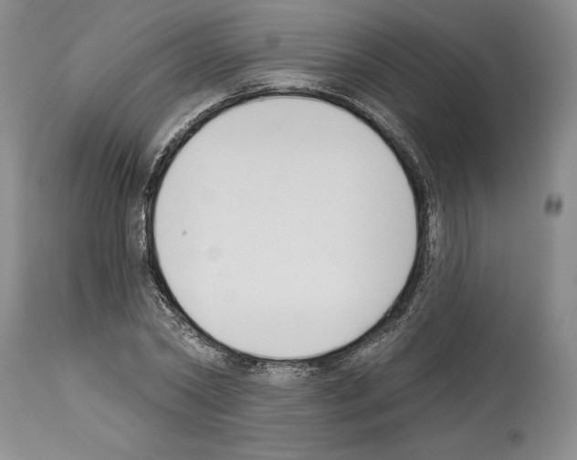 X0000114070782200911161151