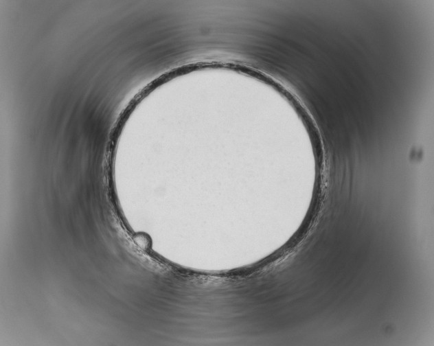 X0000114070783200911161151