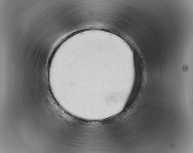 X0000114070784200911161151