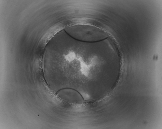 X0000114070785200911161151