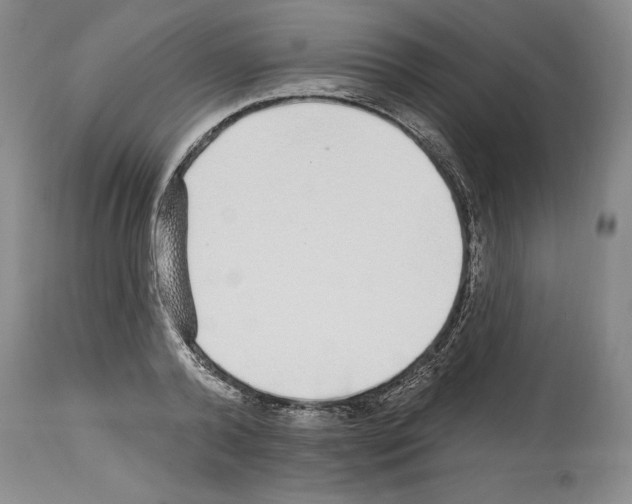 X0000114070792200911161151